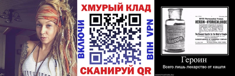 ГЕРОИН хмурый Кольчугино