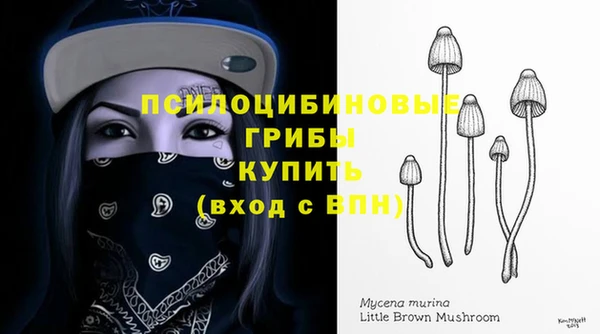 spice Алексеевка