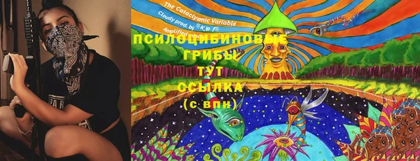 spice Алексеевка